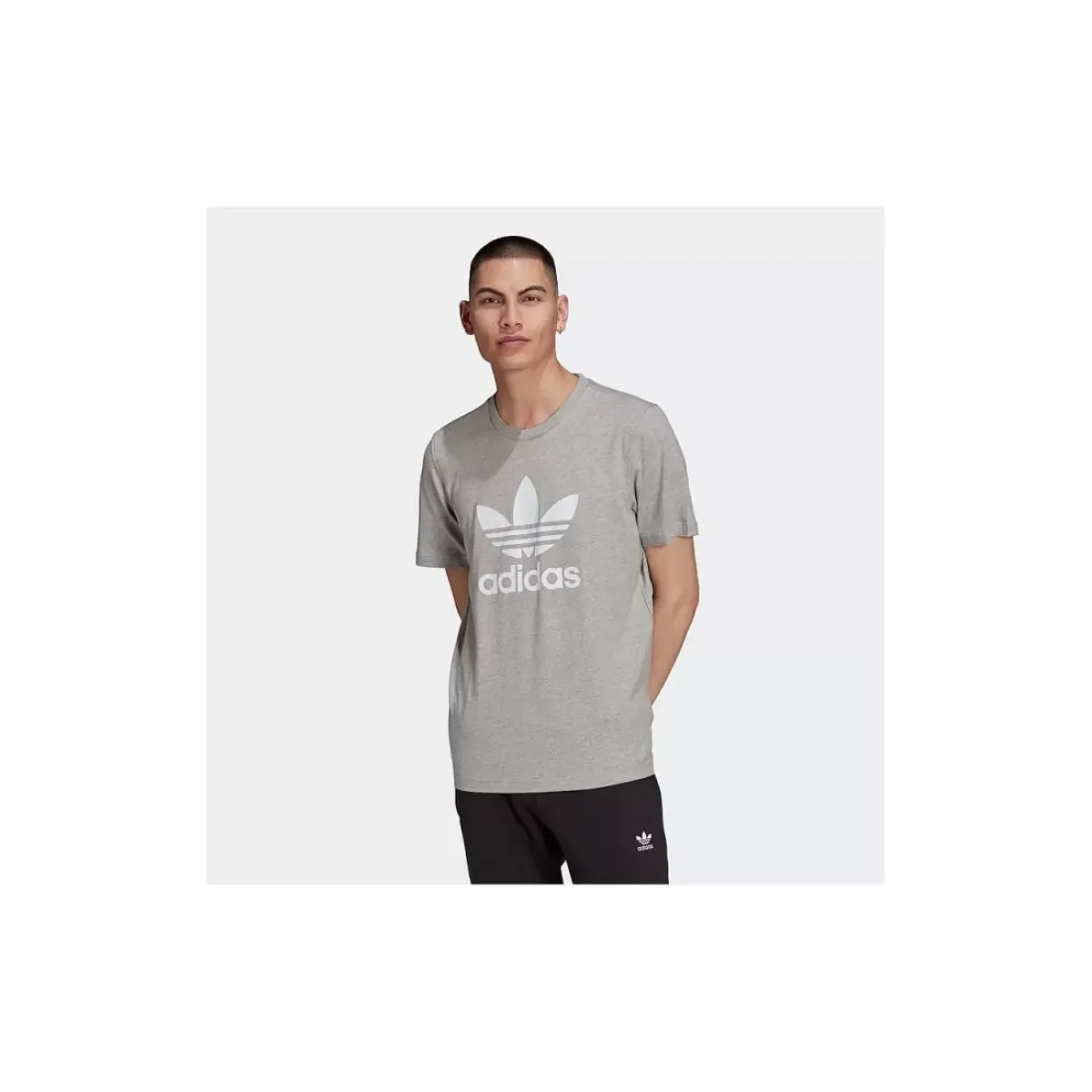Adidas Originals Tees & Singlets<Adicolor Classics Trefoil Tee