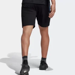 Adidas Shorts<All Blacks Rugby Gym Shorts