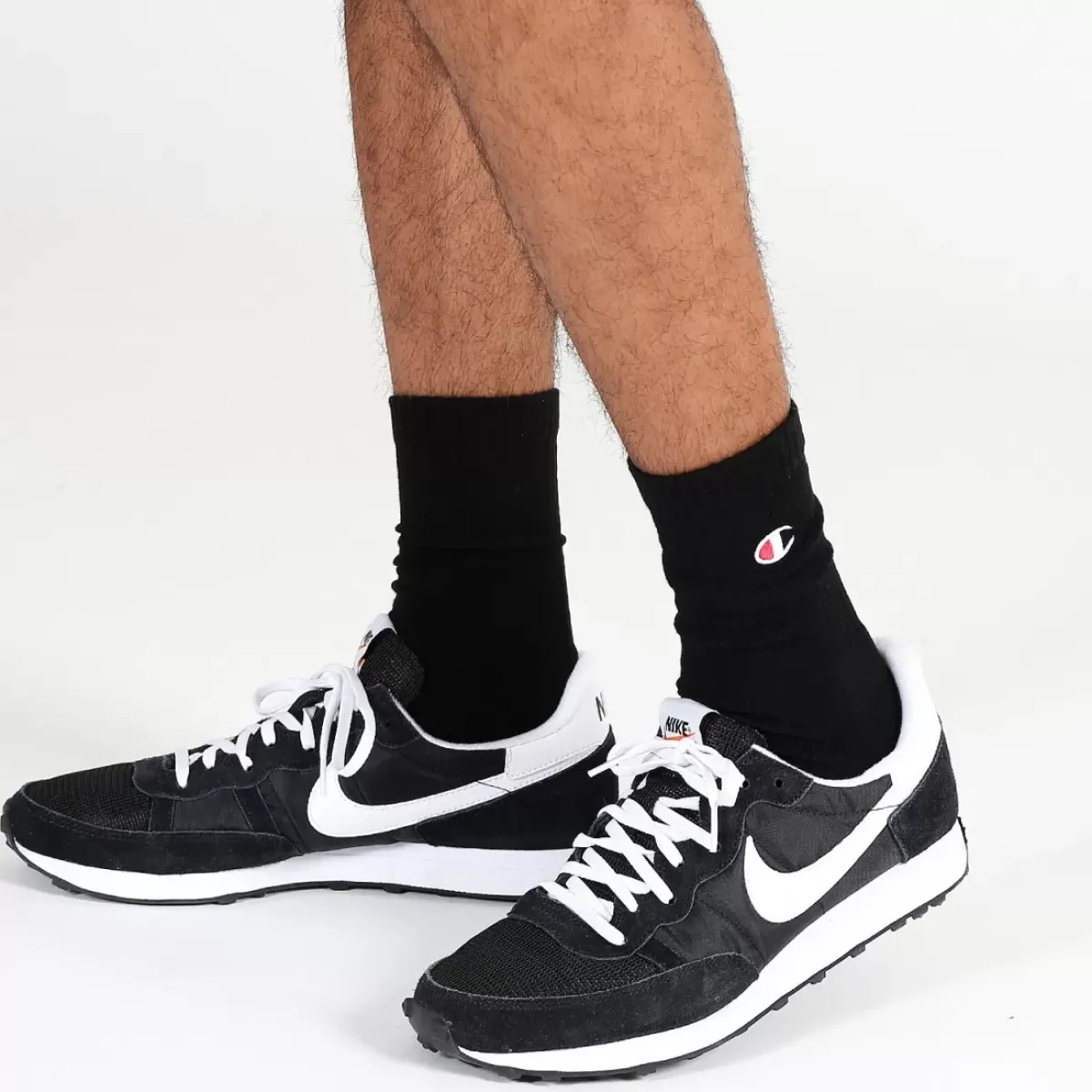 Champion Socks & Underwear<C Logo Crew 2 Pack