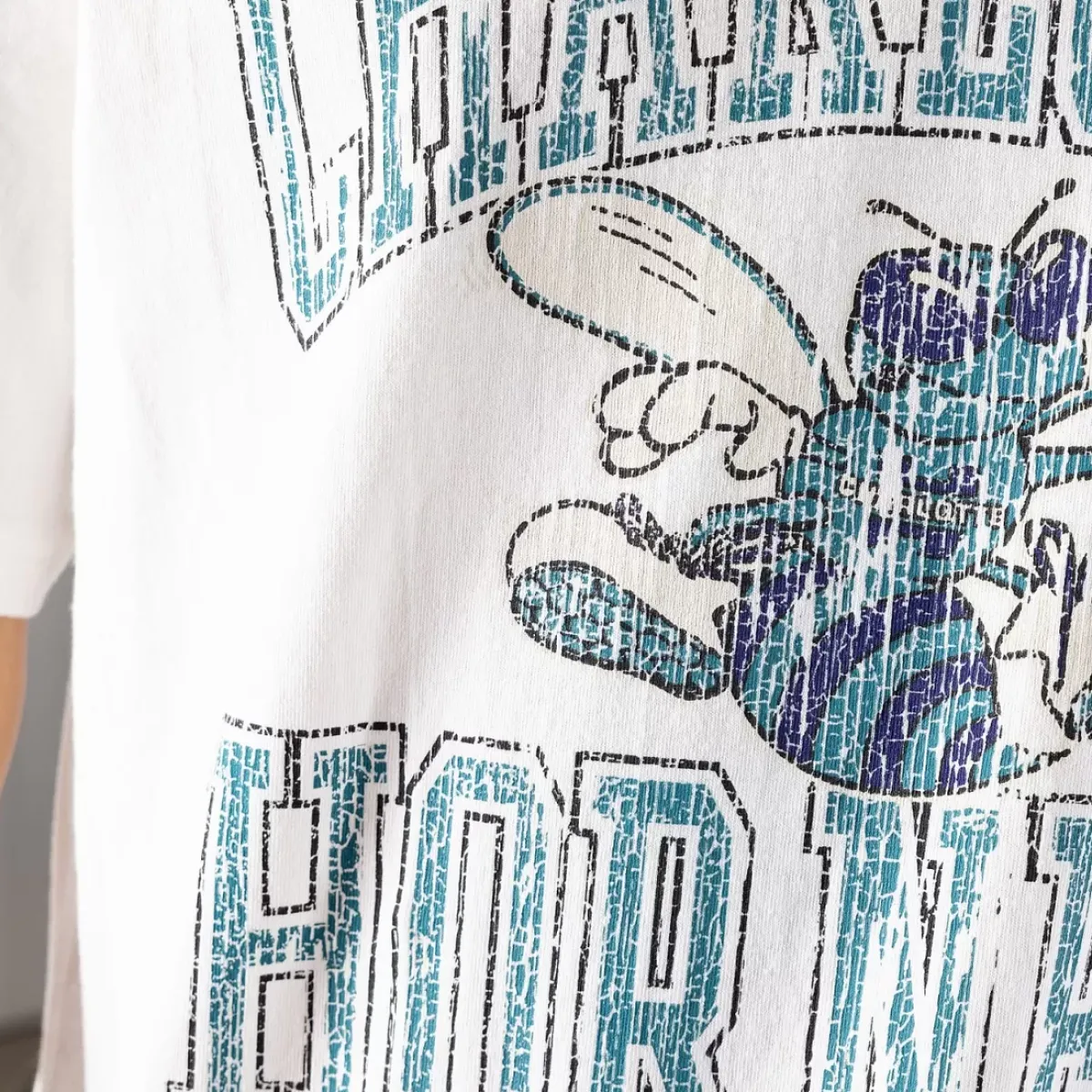 MITCHELL AND NESS Tees & Tanks<Charlotte Hornets Vintage Ivy Arch Tee Unisex