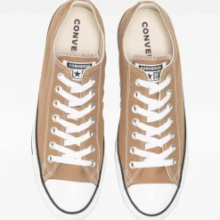 Converse Sneakers<Chuck Taylor All Star Seasonal Colour Low Unisex