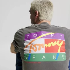 TOMMY HILFIGER Tees & Singlets<Classic Signature Pop Flag Tee