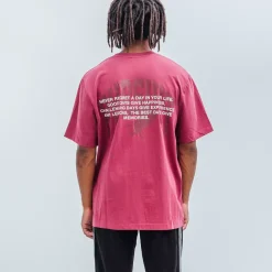 Pursuit of Happiness Tees & Singlets<Classic Track Lessons Tee In Boysenberry/White