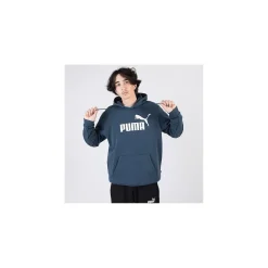 Puma Hoodies & Crews<Essential Big Logo Hoodie