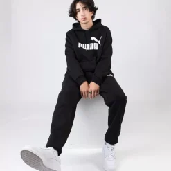 Puma Hoodies & Crews<Essentials Big Logo Hoodie