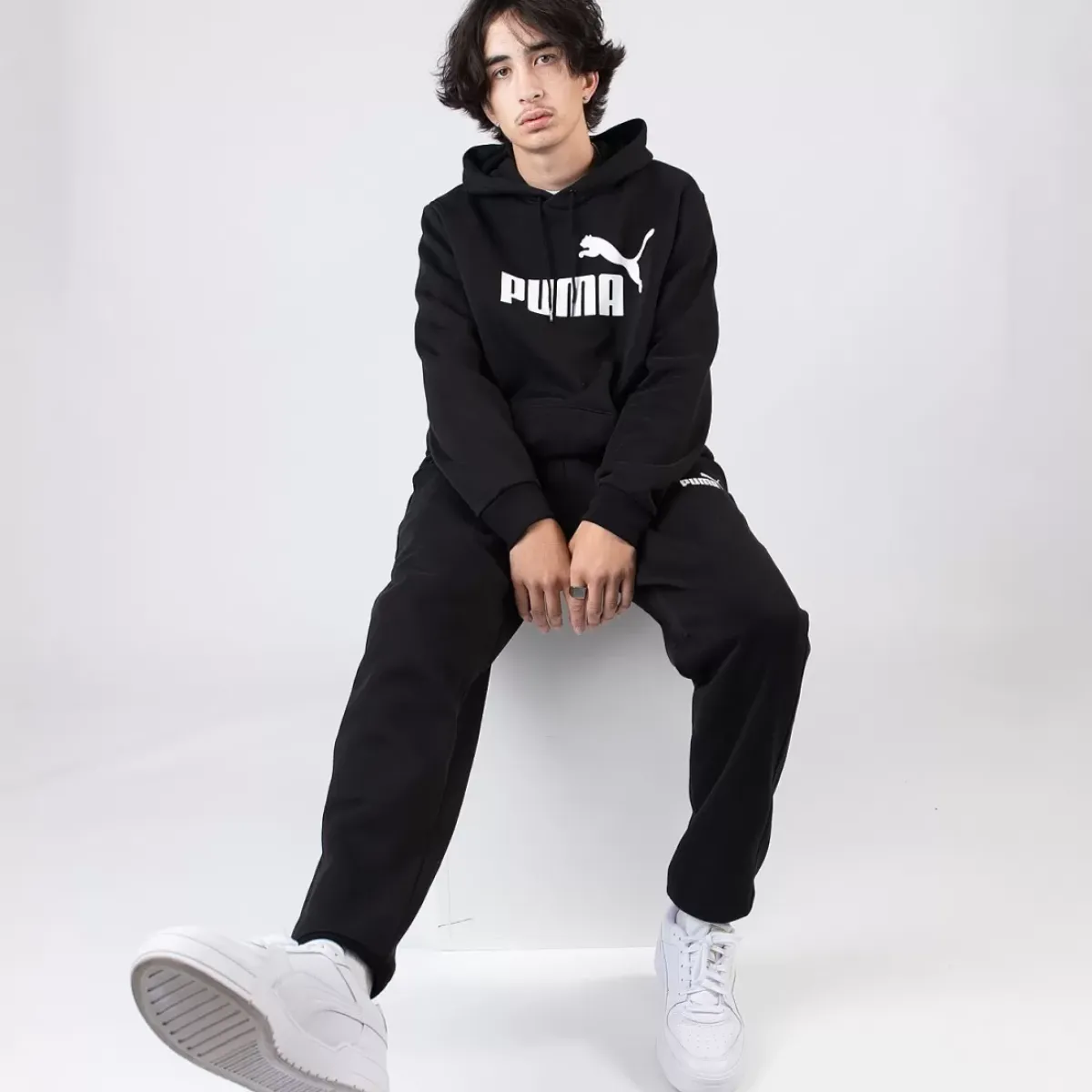 Puma Hoodies & Crews<Essentials Big Logo Hoodie