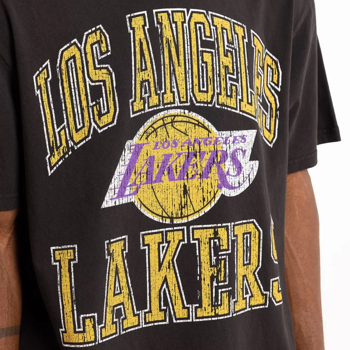 MITCHELL AND NESS Tees & Singlets<Los Angeles Lakers Vintage Ivy Arch T-Shirt Unisex