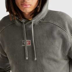 TOMMY HILFIGER Hoodies & Crews<Relax Tiny Tommy Hoodie